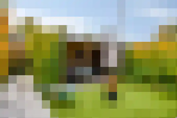 Stijn Streuvelslaan 10 Rosmalen thumbnail 42