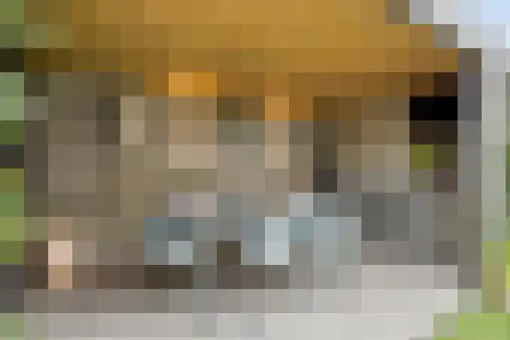 Stijn Streuvelslaan 10 Rosmalen thumbnail 43