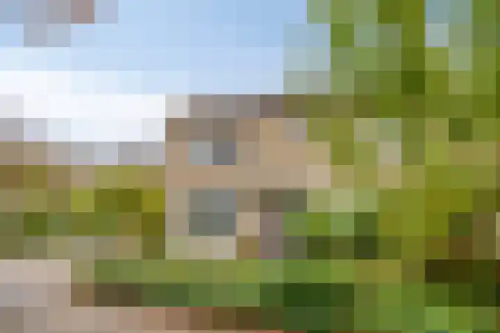 Stijn Streuvelslaan 10 Rosmalen thumbnail 45