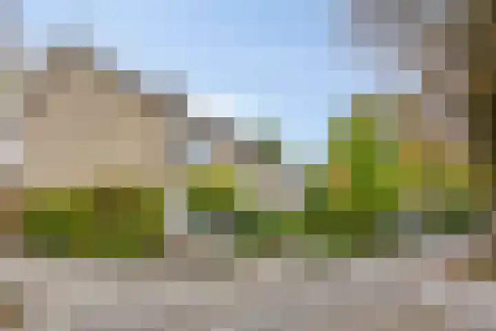 Stijn Streuvelslaan 10 Rosmalen thumbnail 47
