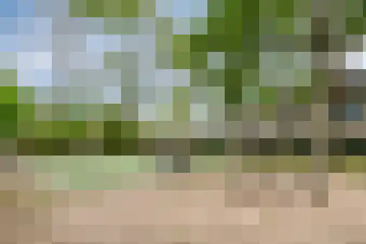 Stijn Streuvelslaan 10 Rosmalen thumbnail 50