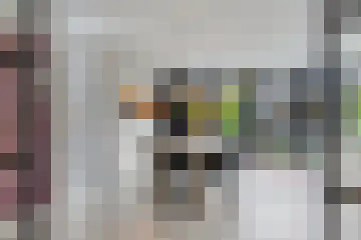 Stijn Streuvelslaan 10 Rosmalen thumbnail 8