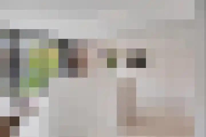 Stijn Streuvelslaan 10 Rosmalen thumbnail 9