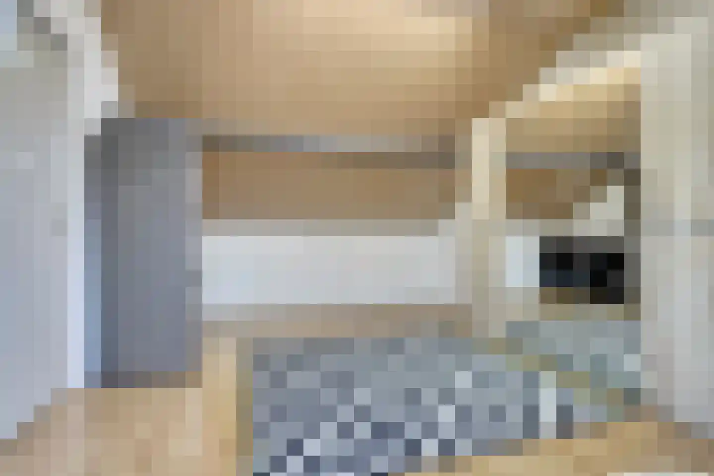 Stijn Streuvelslaan 13 Bladel thumbnail 33