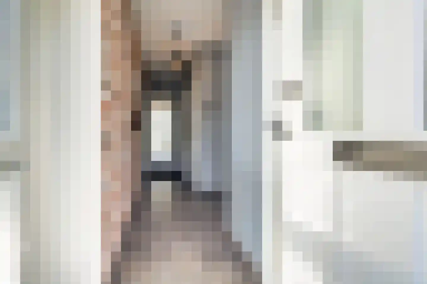 Stijn Streuvelslaan 13 Bladel thumbnail 7