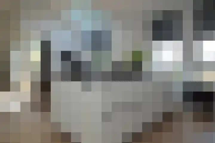 Stijn Streuvelslaan 13 Deurne thumbnail 10