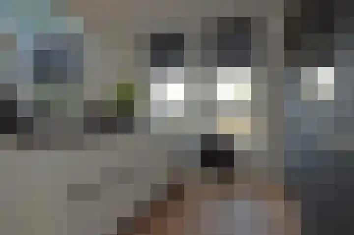 Stijn Streuvelslaan 13 Deurne thumbnail 12