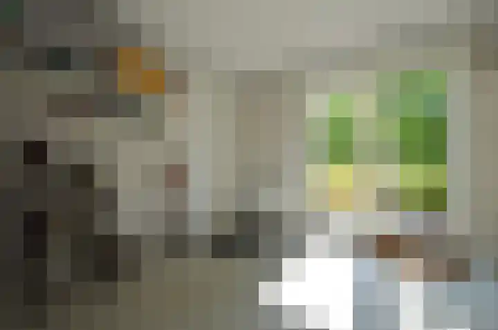 Stijn Streuvelslaan 13 Deurne thumbnail 37