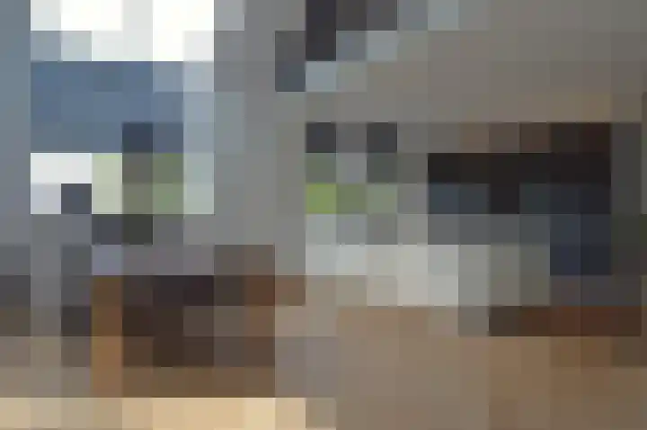 Stijn Streuvelslaan 13 Deurne thumbnail 4