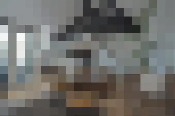 Stijn Streuvelslaan 13 Deurne thumbnail 5