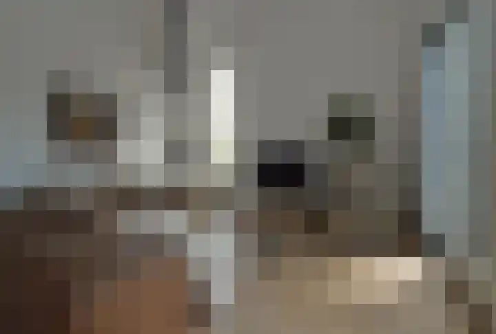 Stijn Streuvelslaan 13 Deurne thumbnail 6
