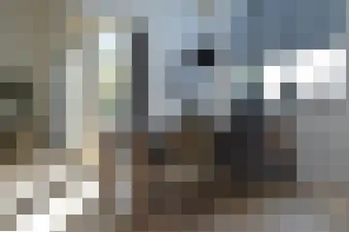 Stijn Streuvelslaan 13 Deurne thumbnail 8