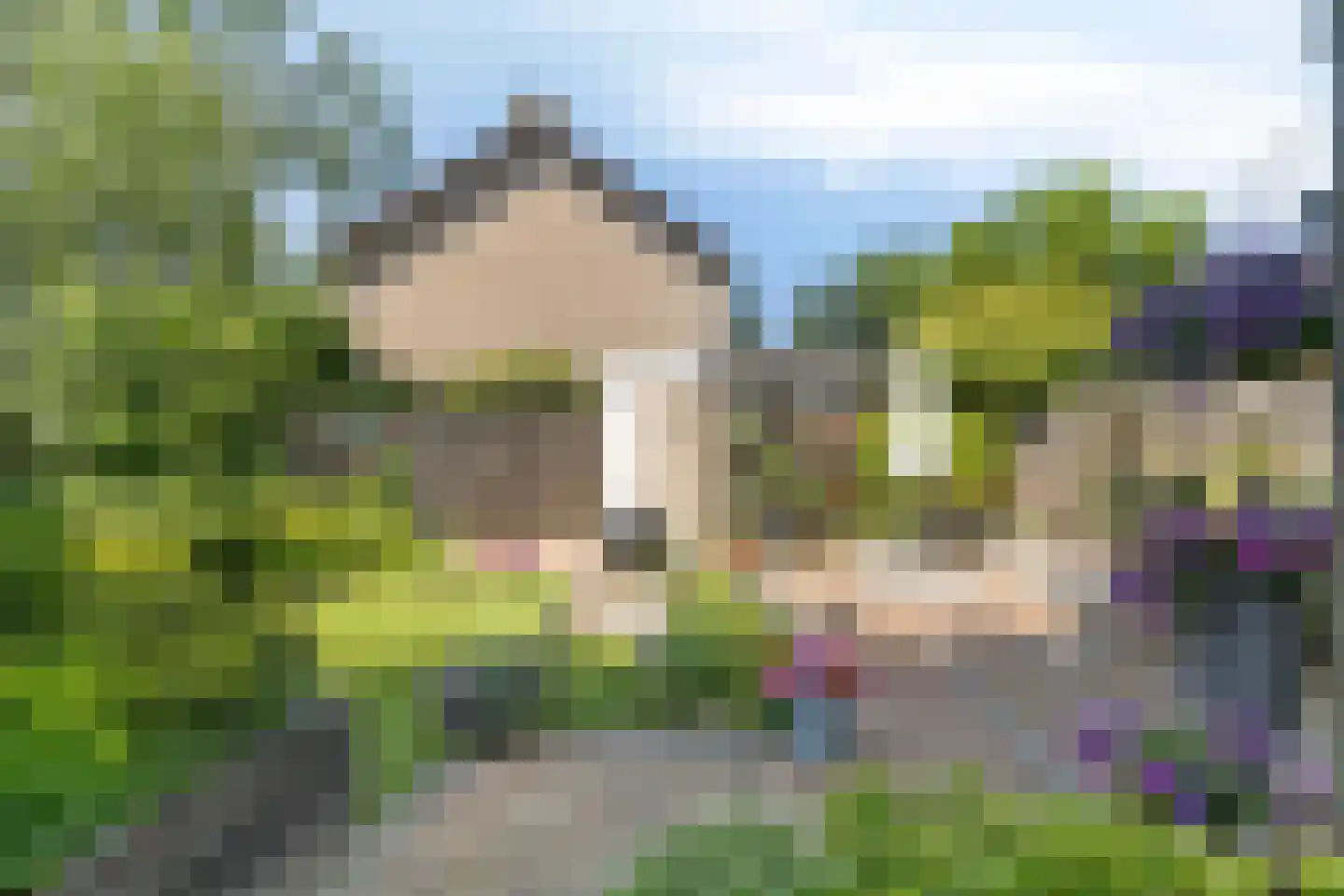 Stijn Streuvelslaan 15 Rosmalen thumbnail 29