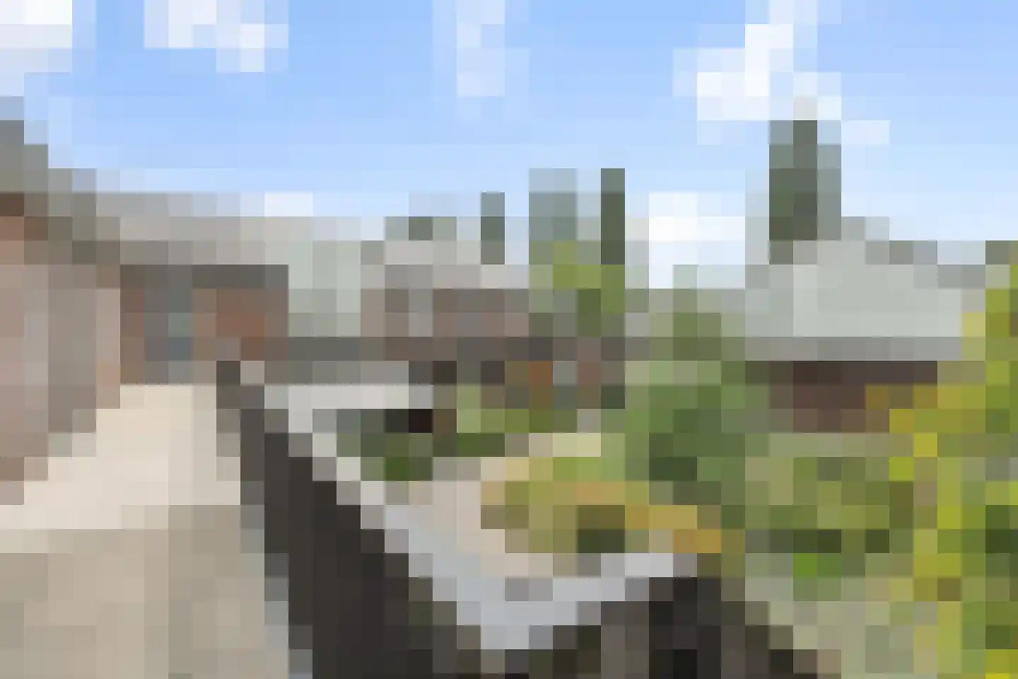 Stijn Streuvelslaan 21 Deurne thumbnail 10