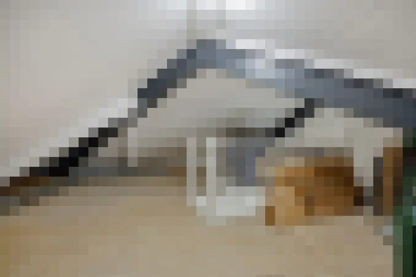 Stijn Streuvelslaan 21 Deurne thumbnail 37