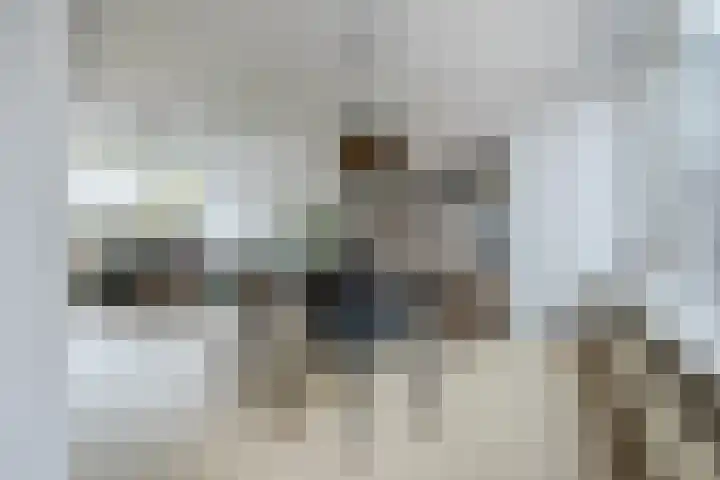 Stijn Streuvelslaan 25 Etten-Leur thumbnail 12
