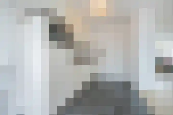 Stijn Streuvelslaan 25 Etten-Leur thumbnail 14