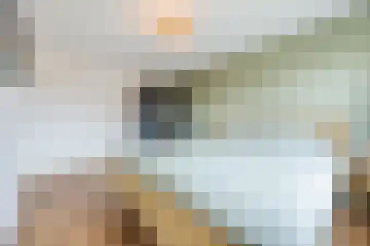 Stijn Streuvelslaan 25 Etten-Leur thumbnail 25