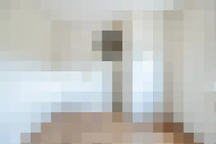Stijn Streuvelslaan 25 Etten-Leur thumbnail 28