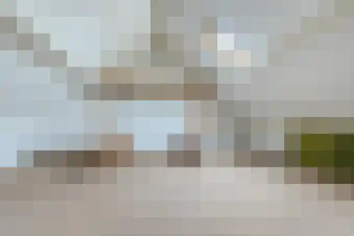 Stijn Streuvelslaan 25 Etten-Leur thumbnail 35