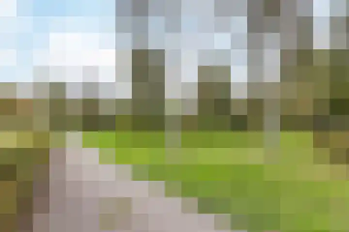 Stijn Streuvelslaan 25 Etten-Leur thumbnail 49