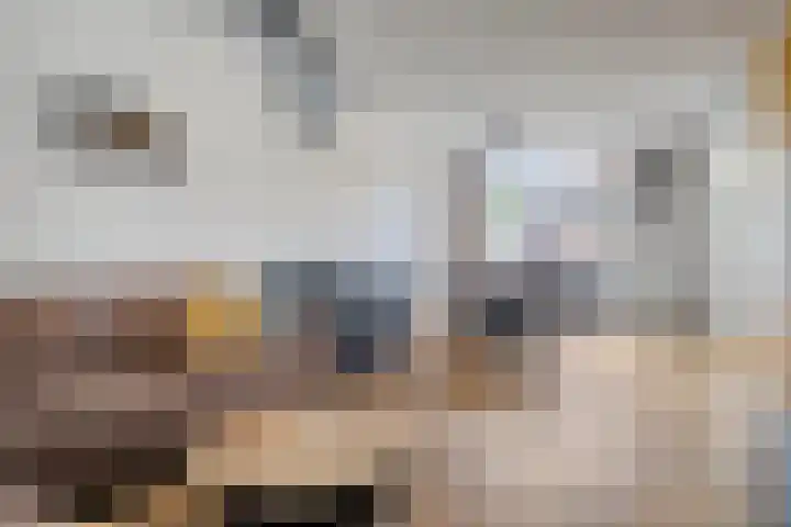 Stijn Streuvelslaan 31 Bladel thumbnail 12