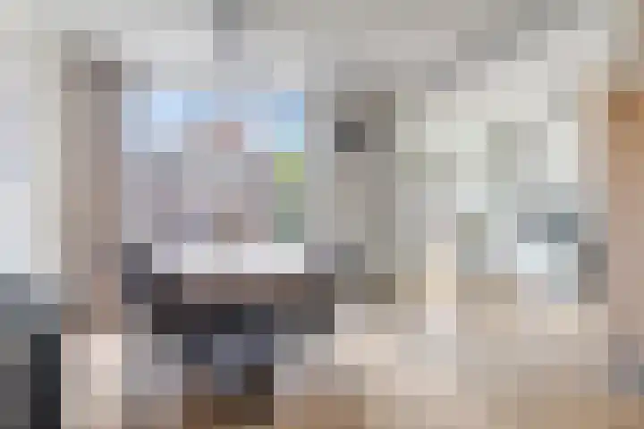 Stijn Streuvelslaan 31 Bladel thumbnail 16