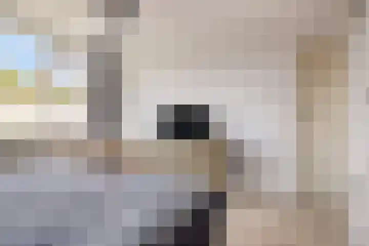Stijn Streuvelslaan 31 Bladel thumbnail 27