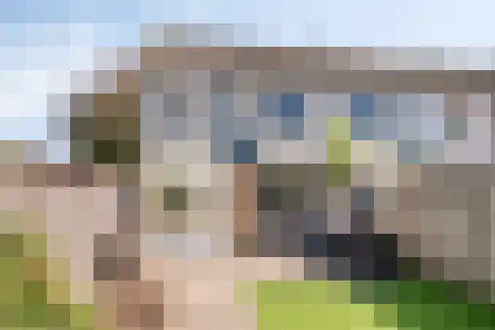 Stijn Streuvelslaan 31 Bladel thumbnail 43
