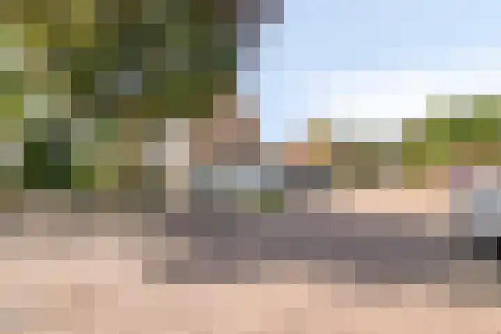 Stijn Streuvelslaan 31 Bladel thumbnail 47