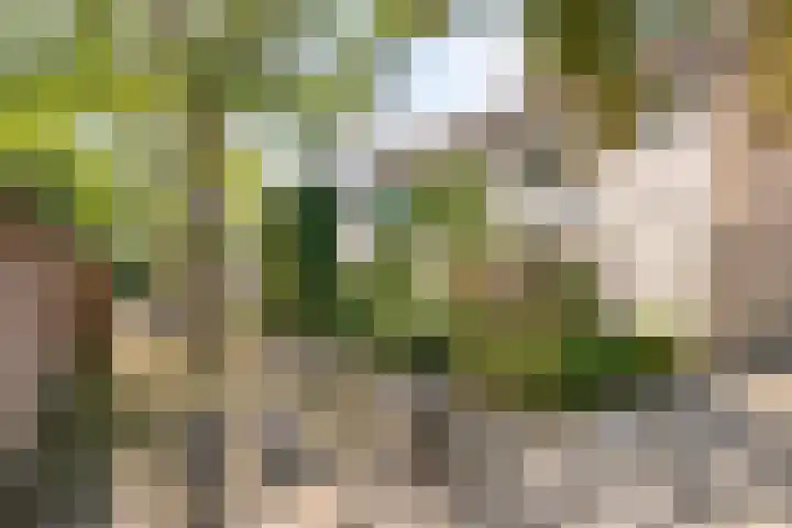 Stijn Streuvelslaan 31 Bladel thumbnail 48