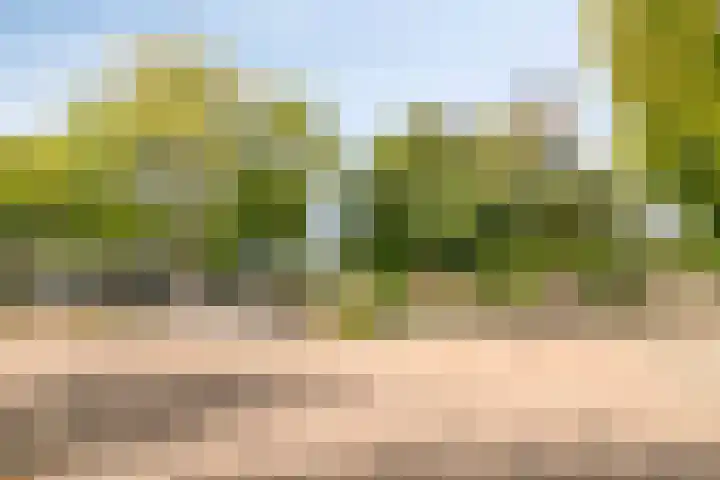 Stijn Streuvelslaan 31 Bladel thumbnail 53