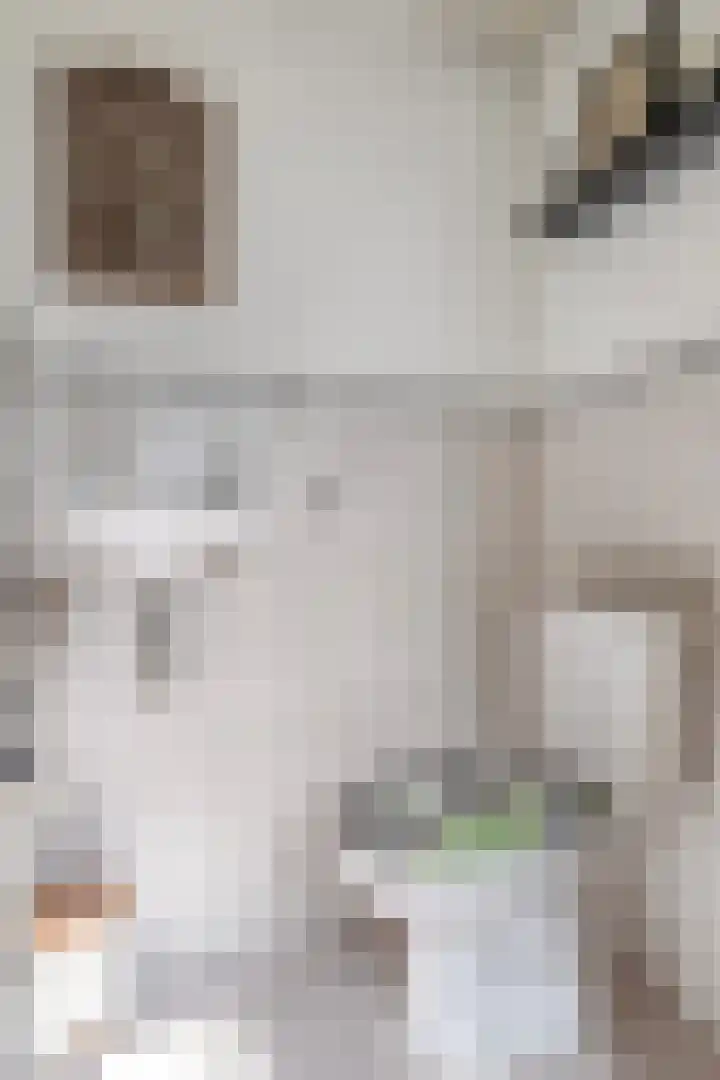 Stijn Streuvelslaan 31 Bladel thumbnail 6