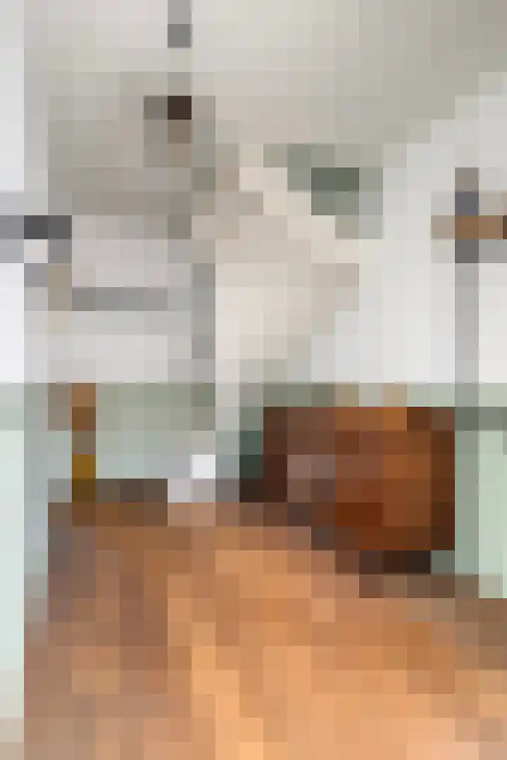 Stijn Streuvelslaan 31 Bladel thumbnail 7