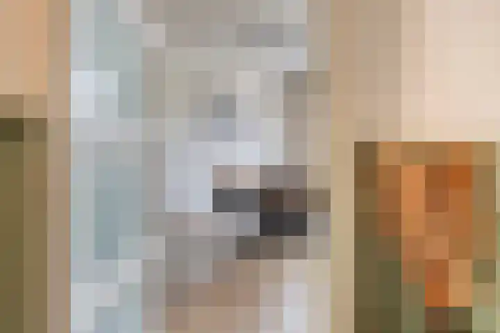 Stijn Streuvelslaan 31 Bladel thumbnail 9