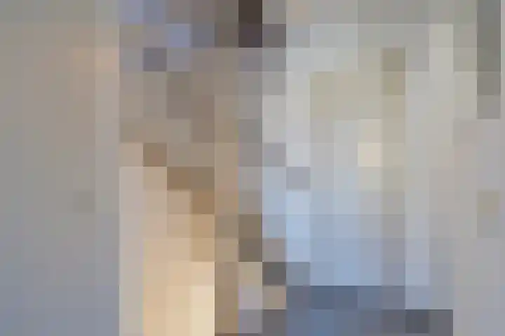 Stijn Streuvelslaan 4 Rosmalen thumbnail 14