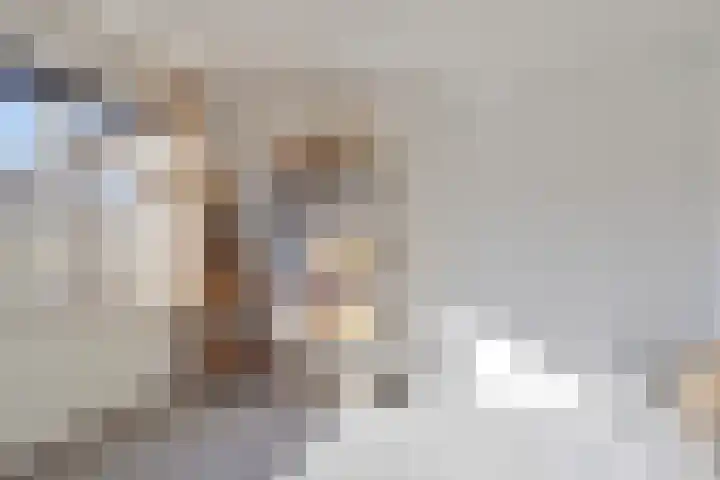 Stijn Streuvelslaan 4 Rosmalen thumbnail 19
