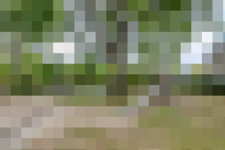 Stijn Streuvelslaan 4 Rosmalen thumbnail 36
