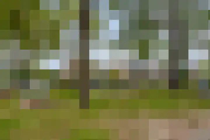 Stijn Streuvelslaan 4 Rosmalen thumbnail 37