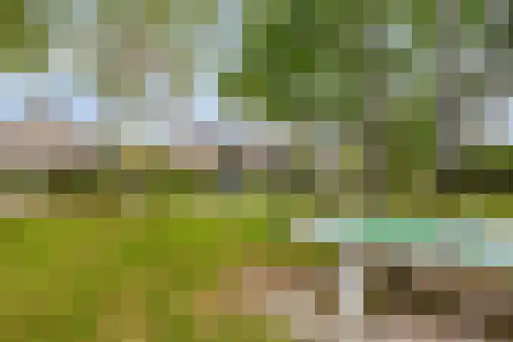 Stijn Streuvelslaan 4 Rosmalen thumbnail 38