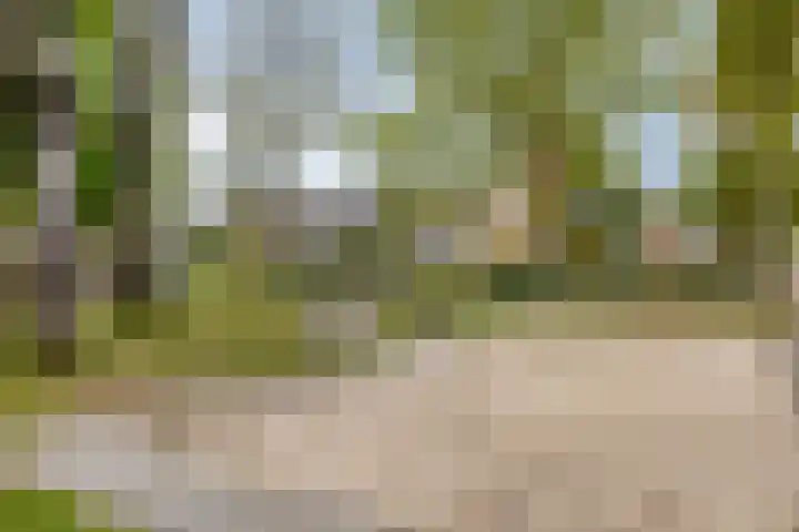 Stijn Streuvelslaan 4 Rosmalen thumbnail 40