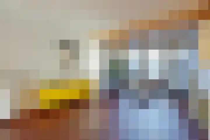 Stijn Streuvelslaan 4 Rosmalen thumbnail 7