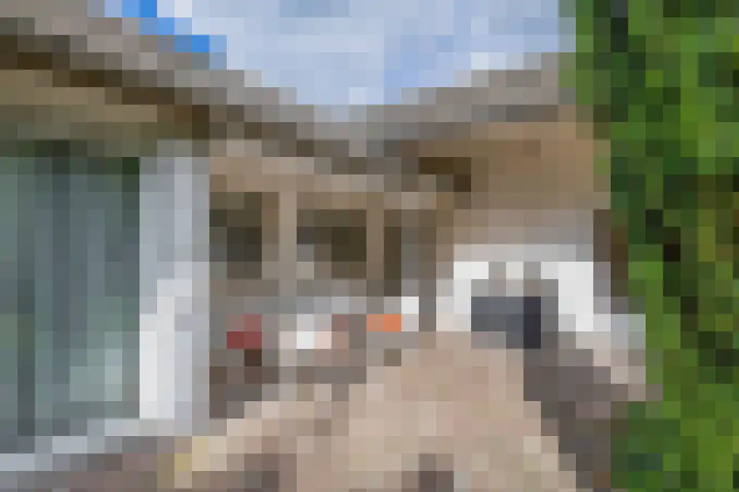 Stijn Streuvelslaan 50 Deurne thumbnail 58