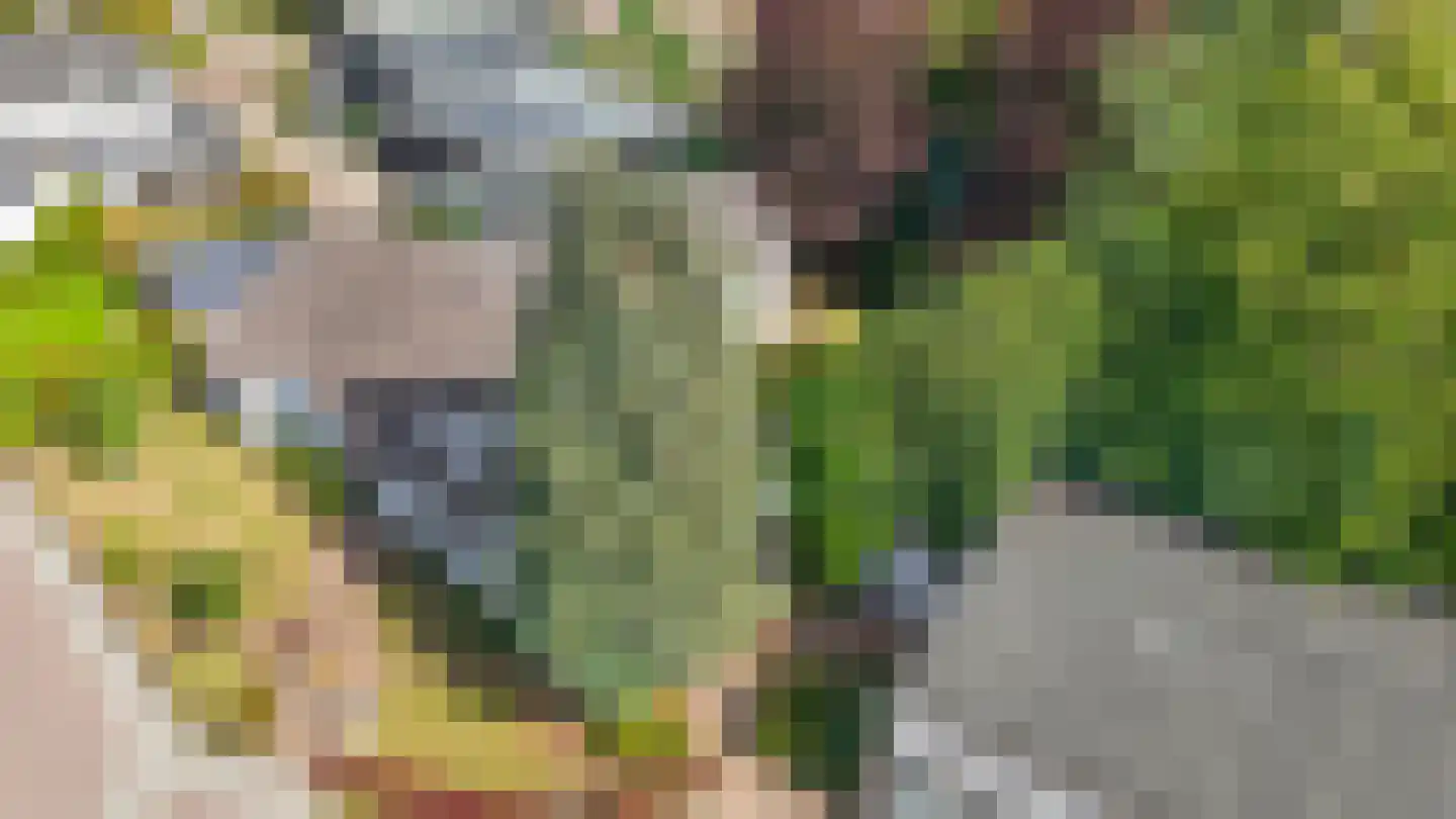 Stijn Streuvelslaan 50 Deurne thumbnail 67