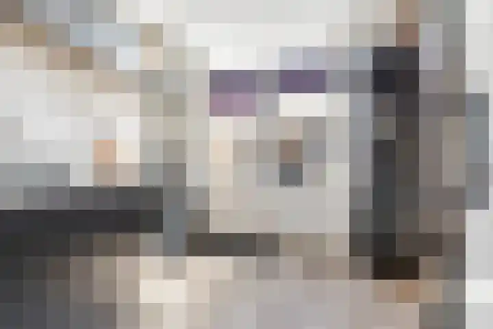 Stijn Streuvelslaan 8 Etten-Leur thumbnail 14