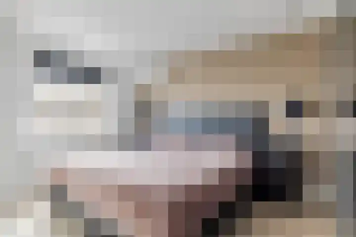 Stijn Streuvelslaan 8 Etten-Leur thumbnail 16