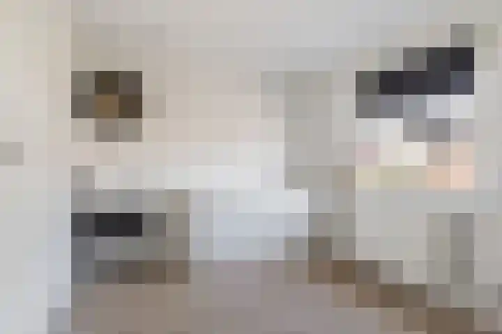 Stijn Streuvelslaan 8 Etten-Leur thumbnail 20