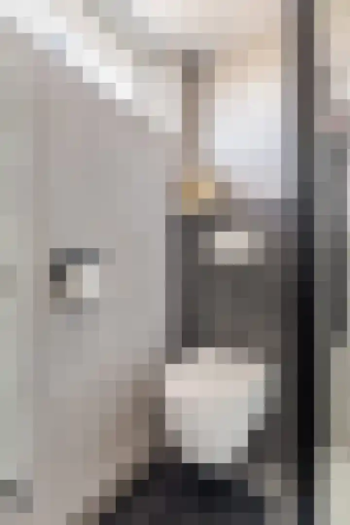 Stijn Streuvelslaan 8 Etten-Leur thumbnail 23