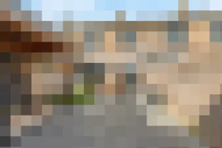 Stijn Streuvelslaan 8 Etten-Leur thumbnail 28