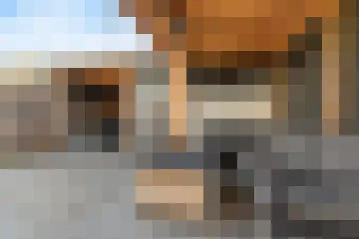 Stijn Streuvelslaan 8 Etten-Leur thumbnail 30